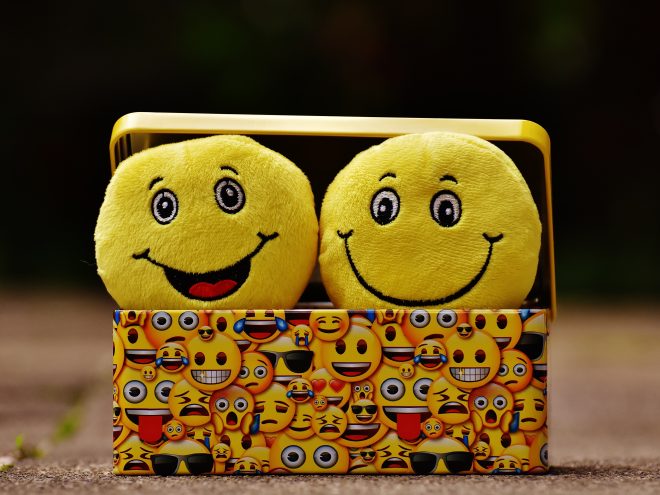 Emoji lunch box